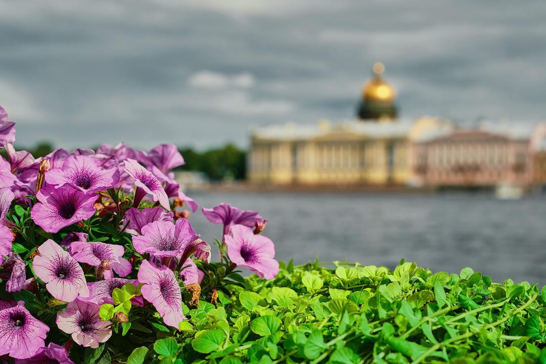 Saint Petersburg Springtime